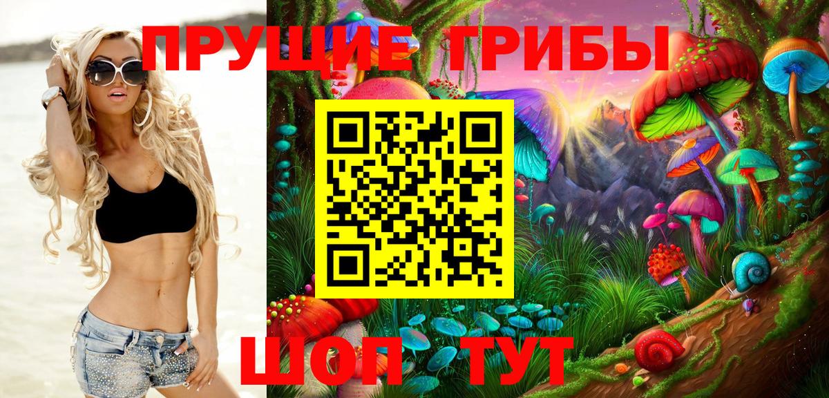 Галлюциногенные грибы Psilocybine cubensis  Вход с VPN  Псилоцибиновые грибы прущие грибы  Ачхой-Мартан 